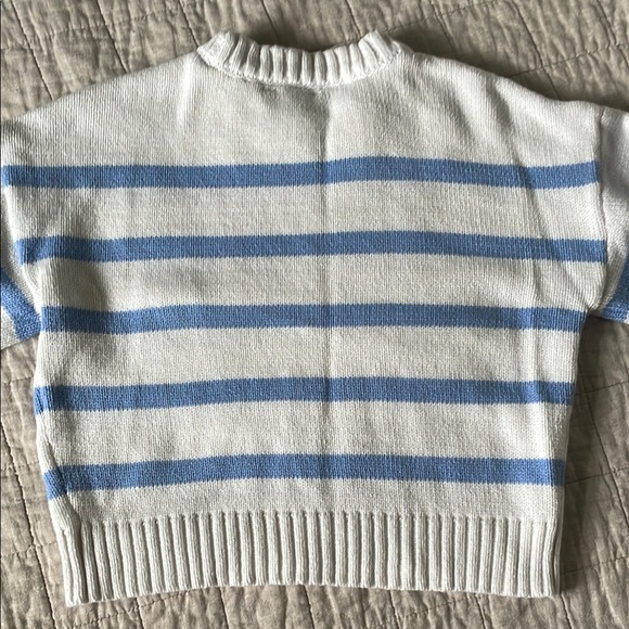 Striped Blue and White Sweater with Lemon Design - Picture 5 of 5